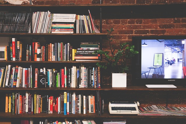 Inzicht in de kosten en budgettering voor het laten maken van een TV wand